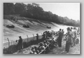 Brooklands Banking spectators